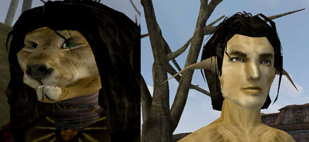morrowind patch better bodies clothing us